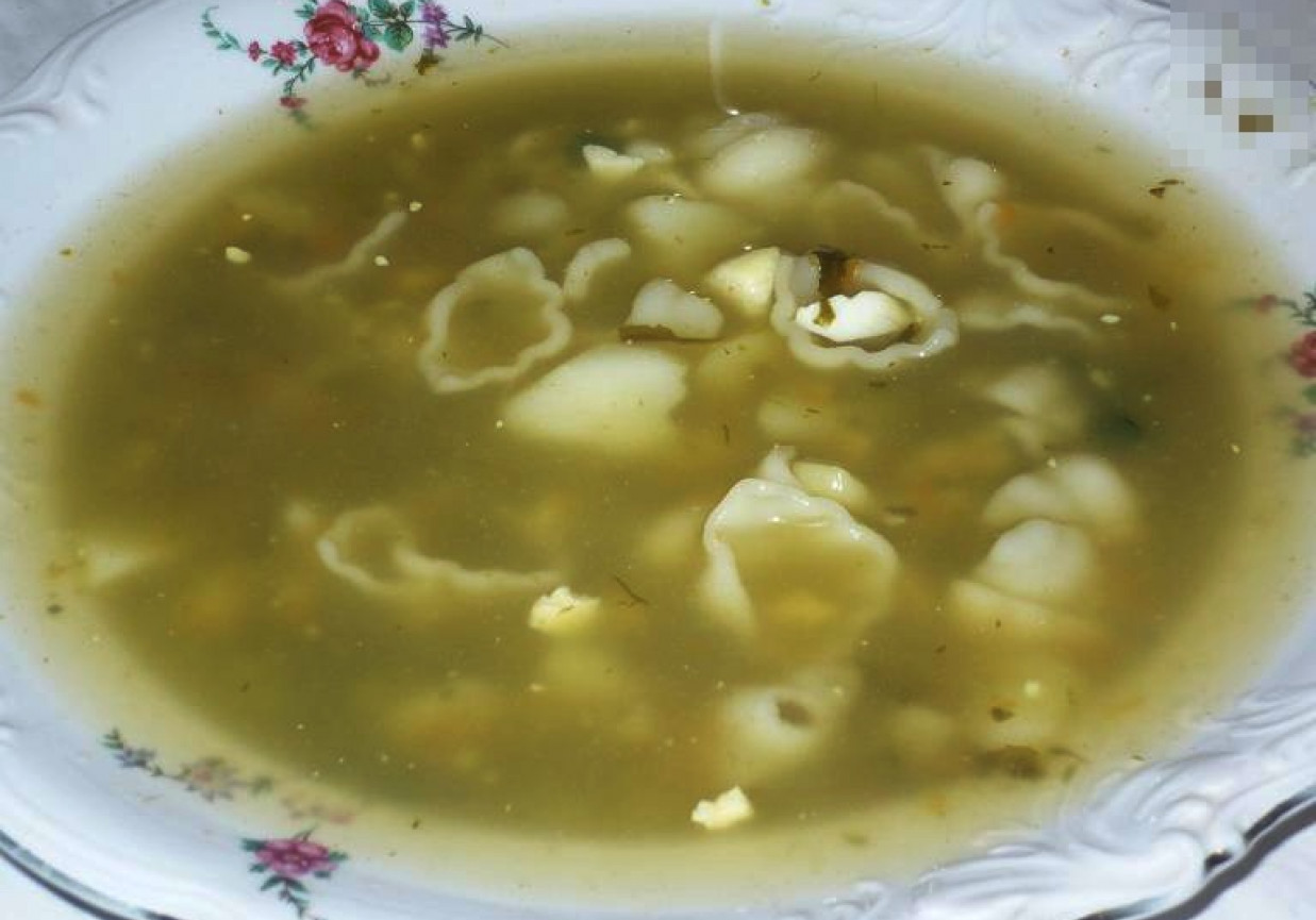 Zupa szczawiowa z makaronem foto