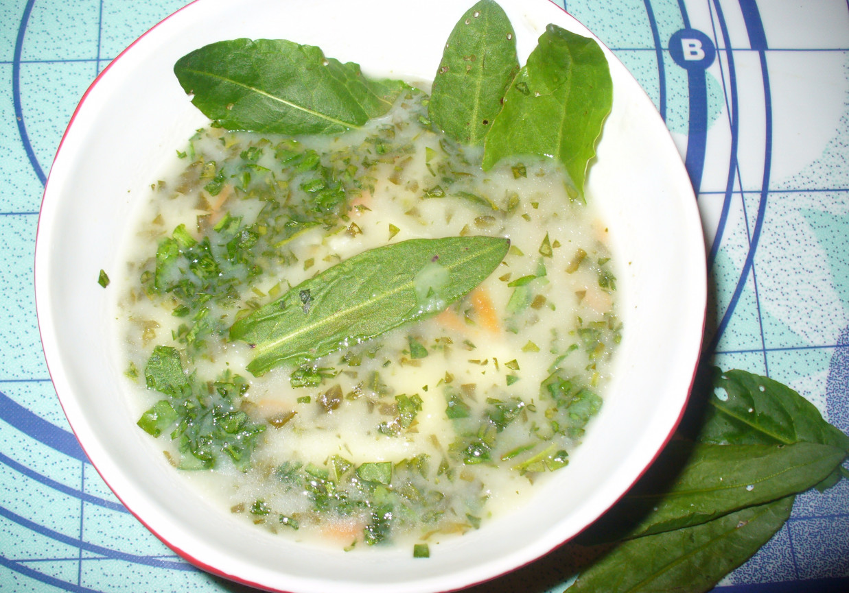 Zupa szczawiowa z ziemniakami foto