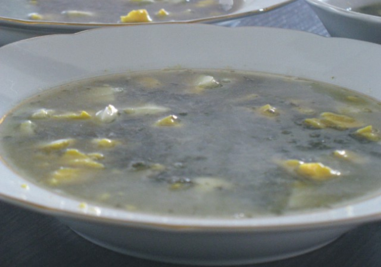 Zupa szczawiowa foto