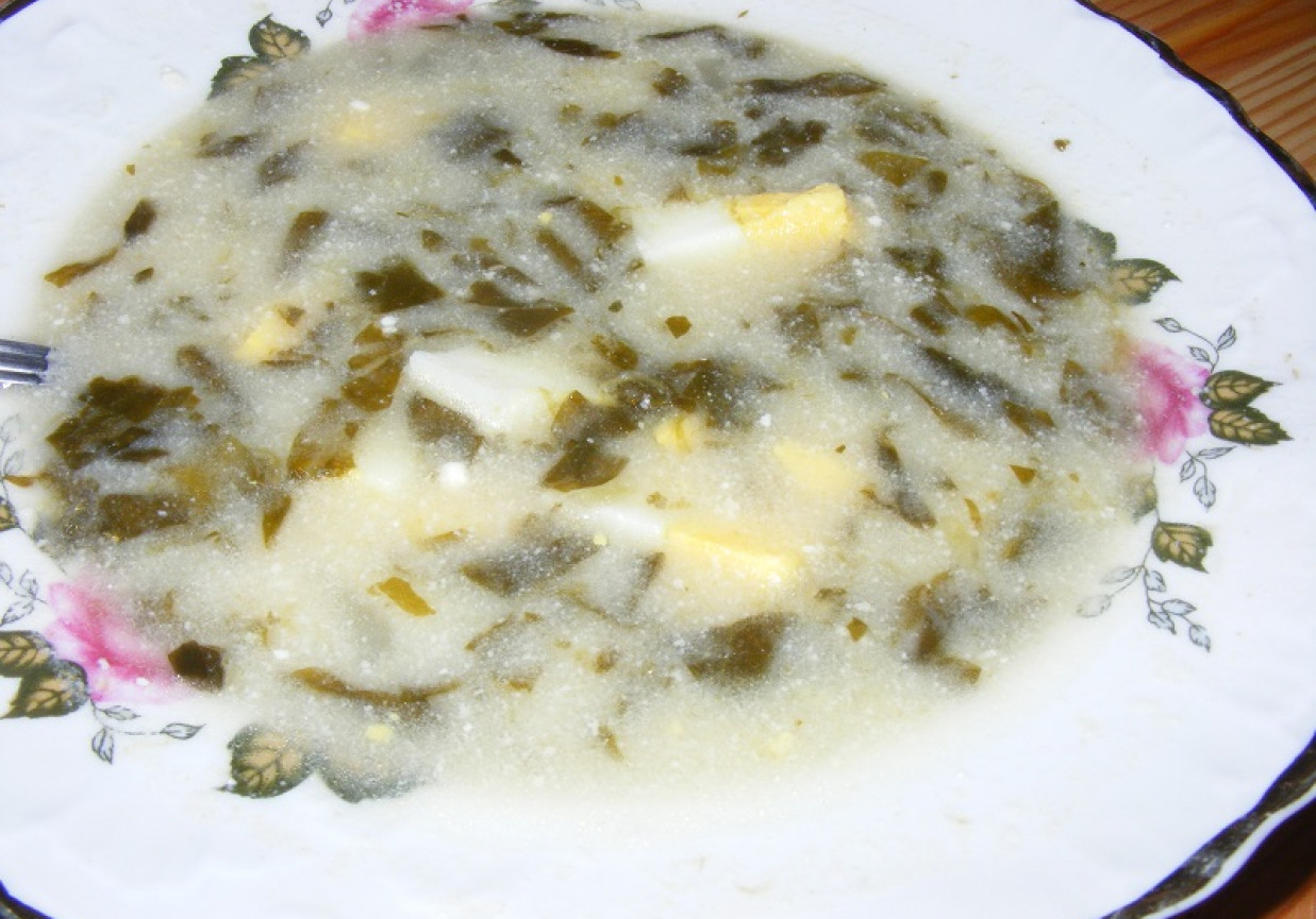 Zupa szczawiowa foto