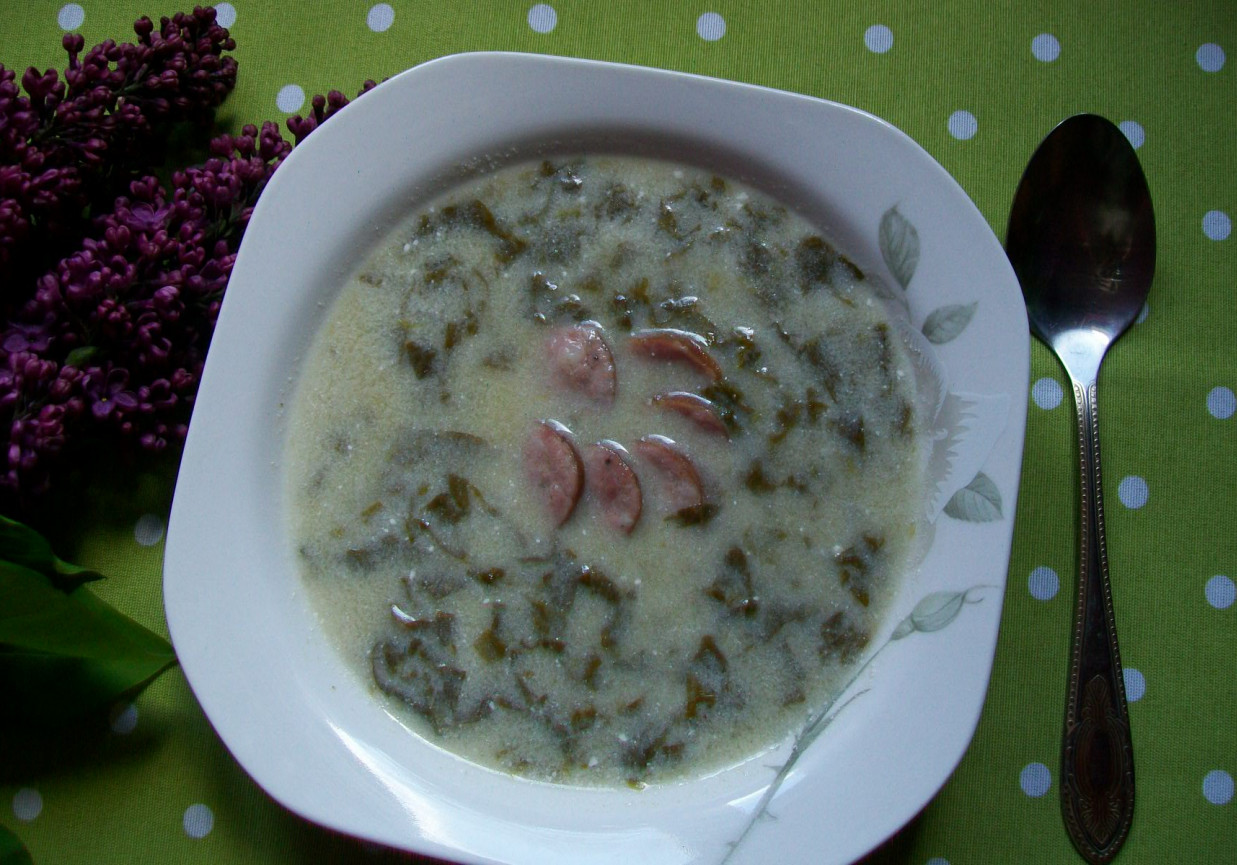 Zupa szczawiowo-pokrzywowa z kiełbasą foto