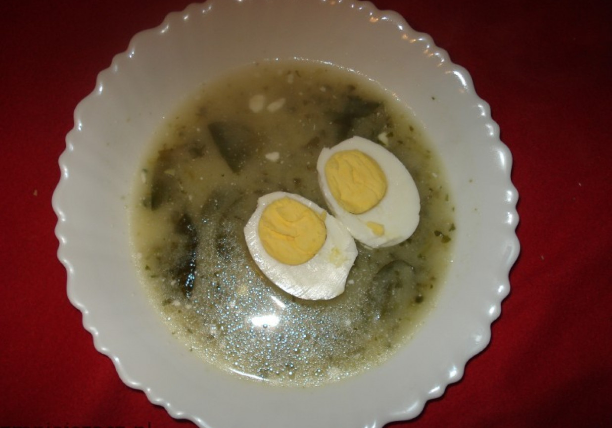 Zupa szpinakowa z jajkiem foto