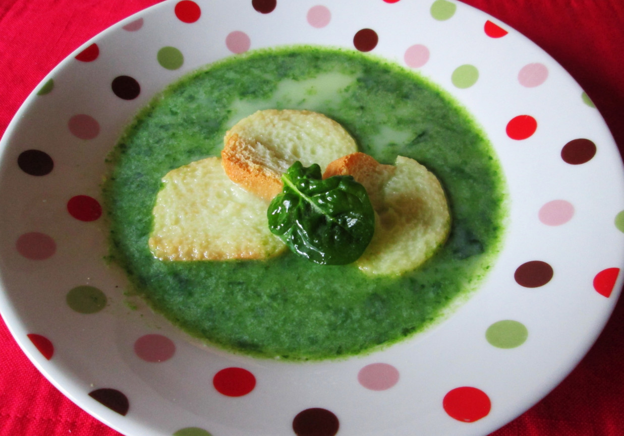 Zupa szpinakowa z kuchni francuskiej foto