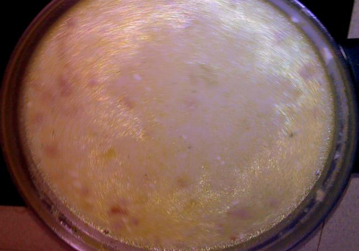 Zupa szynkowa z serkiem topionym foto