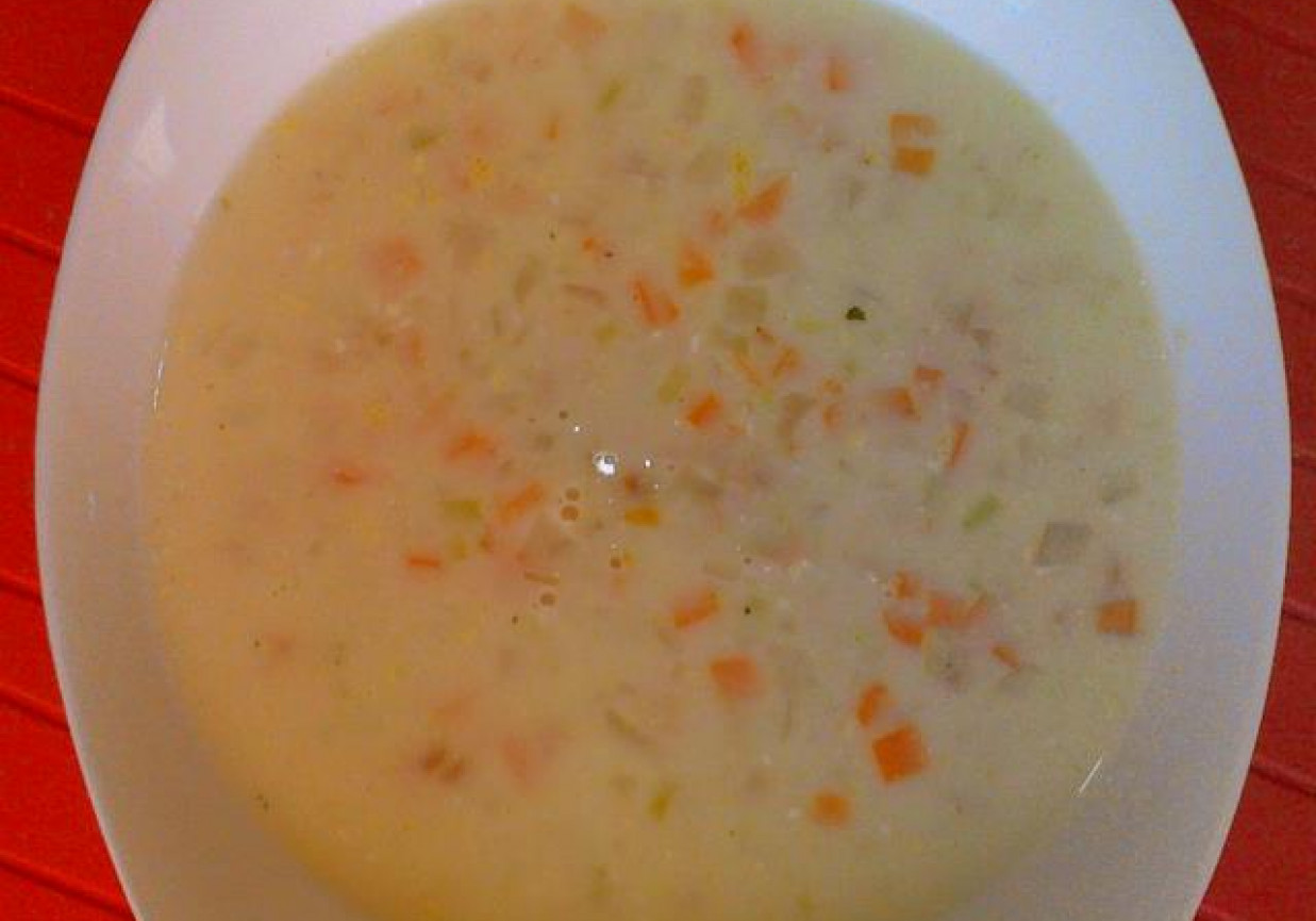 Zupa szynkowa z serkiem topionym foto