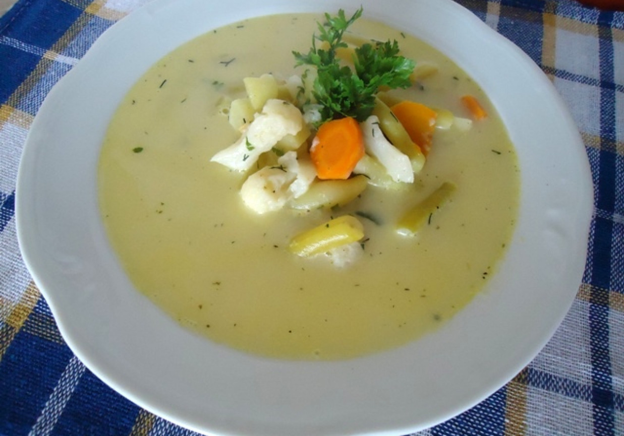 Zupa warzywna (jarzynowa) foto