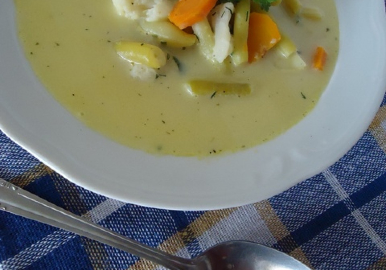 Zupa warzywna (jarzynowa) foto