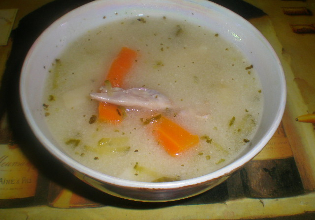 Zupa warzywna na skrzydełkach foto