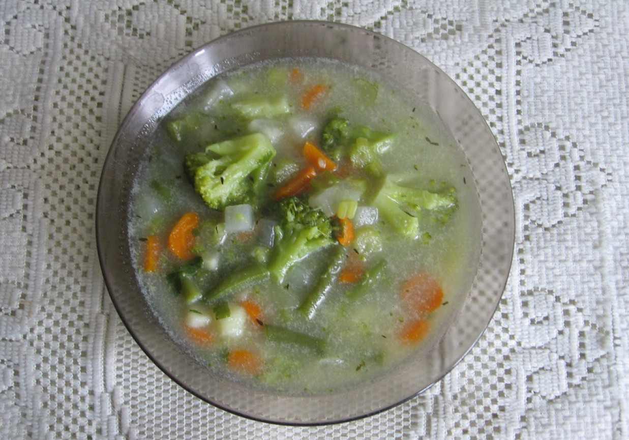 Zupa warzywna na skrzydłach z kaczki foto