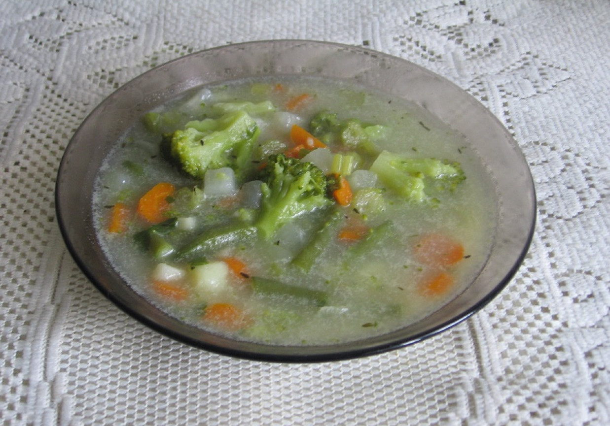 Zupa warzywna na skrzydłach z kaczki foto