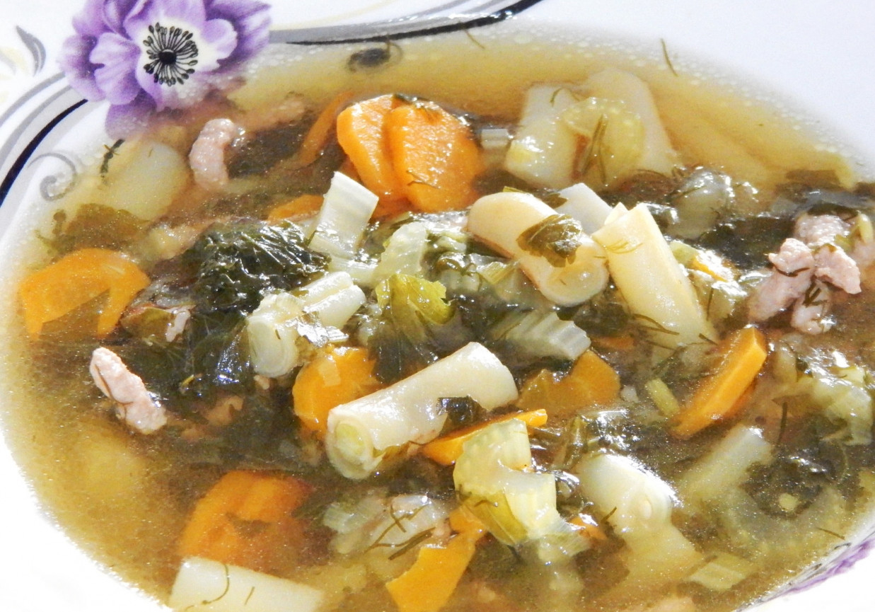 Zupa warzywna z fasolką szparagową i mieloną wieprzowiną foto