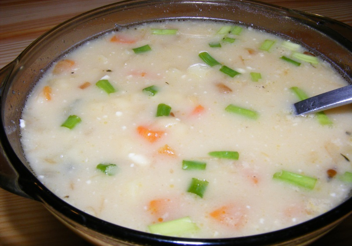 Zupa warzywna z kluseczkami i serkiem topionym foto