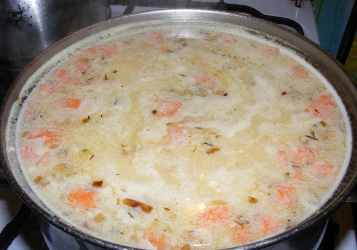 Zupa warzywna z kluseczkami i serkiem topionym foto