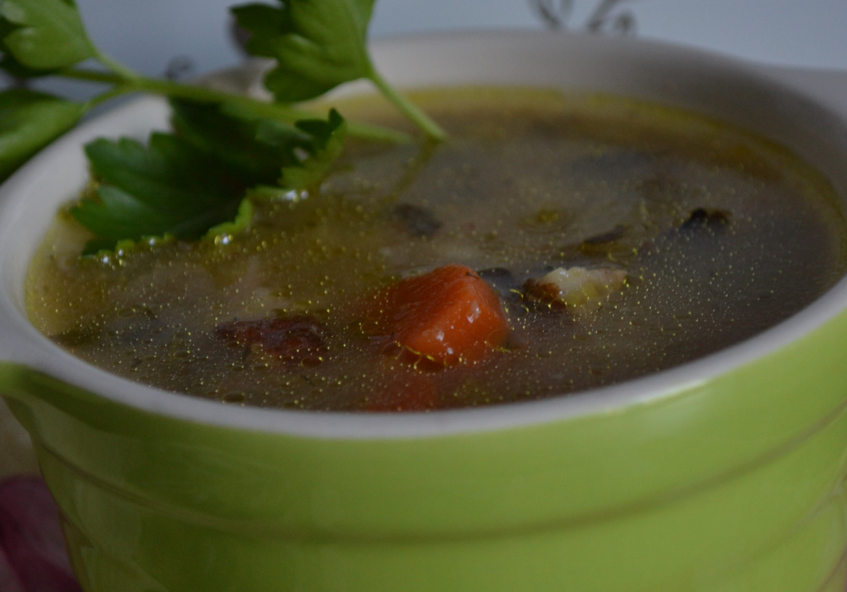 zupa warzywna z liściem kalarepki i pęczakiem foto