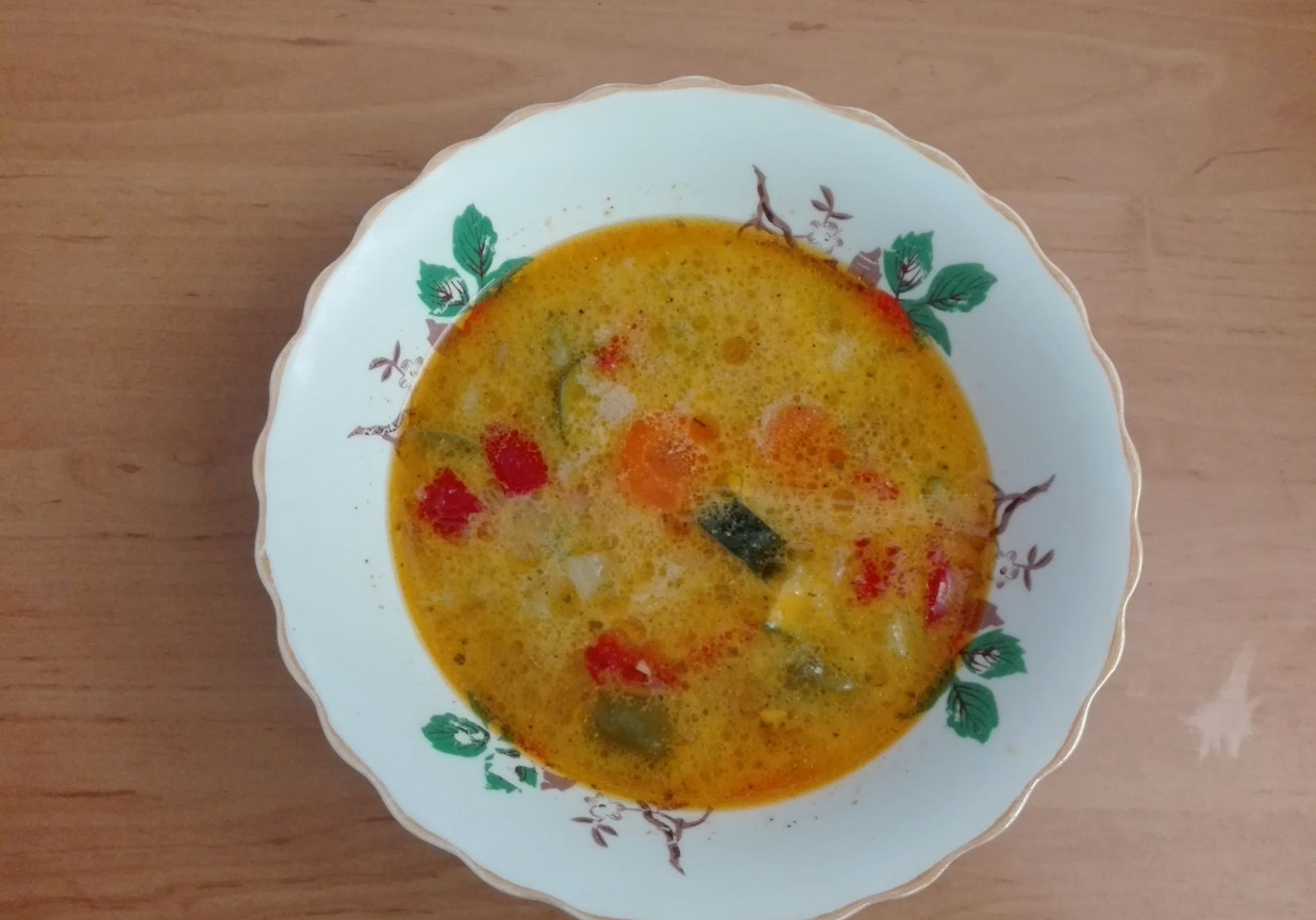 Zupa warzywna z mięsem mielonym foto