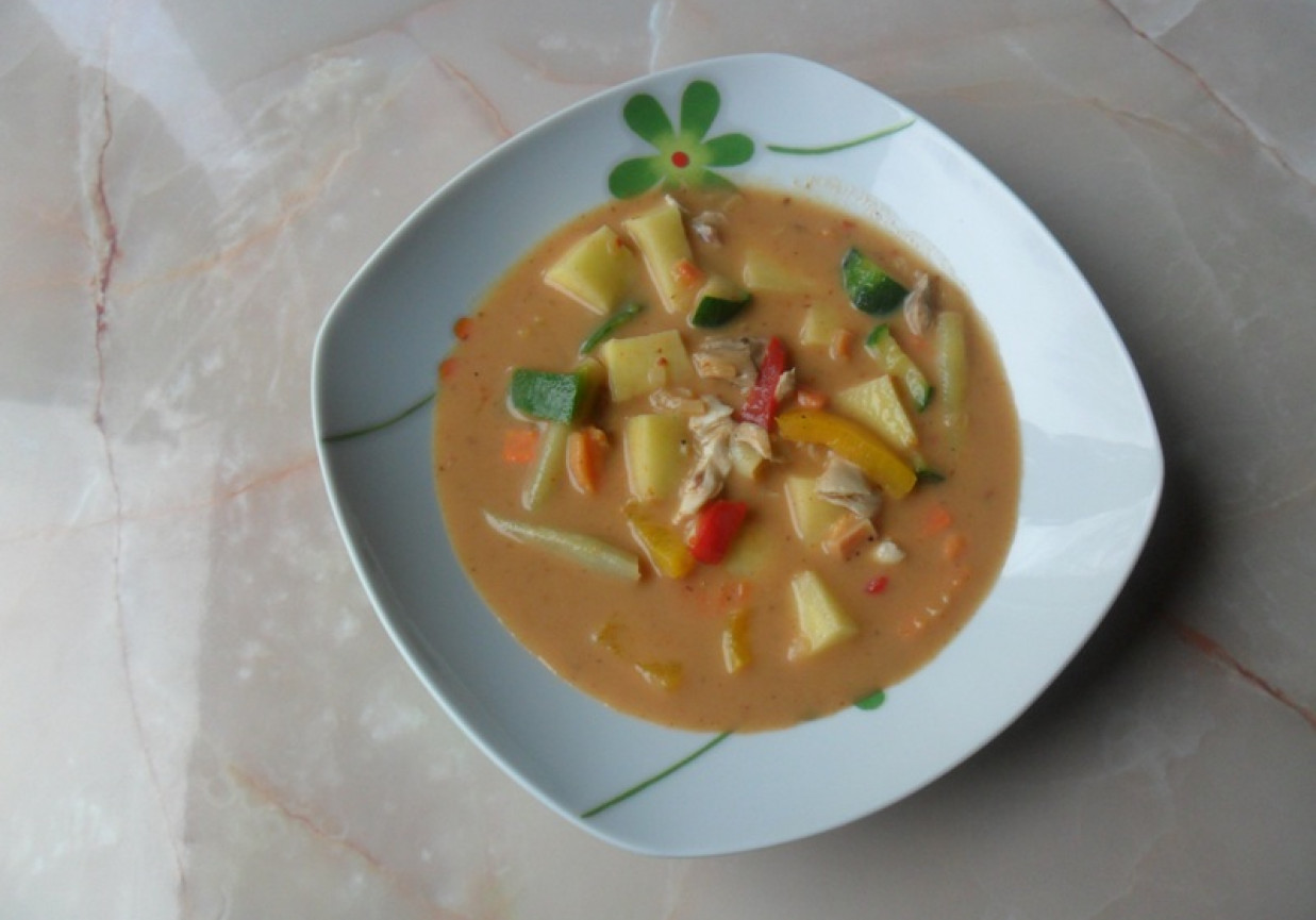 Zupa warzywna z mięsem foto