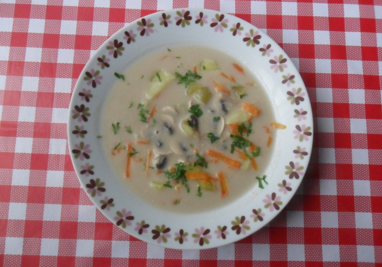 Zupa warzywna z pieczarkami foto