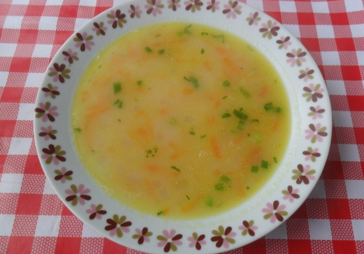 Zupa warzywna zasmażana foto