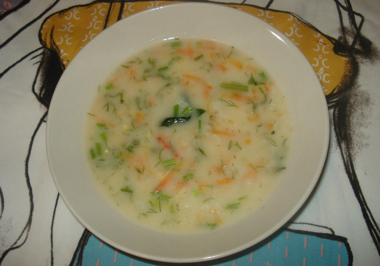 Zupa warzywna ze świeżym szpinakiem i koperkiem  foto