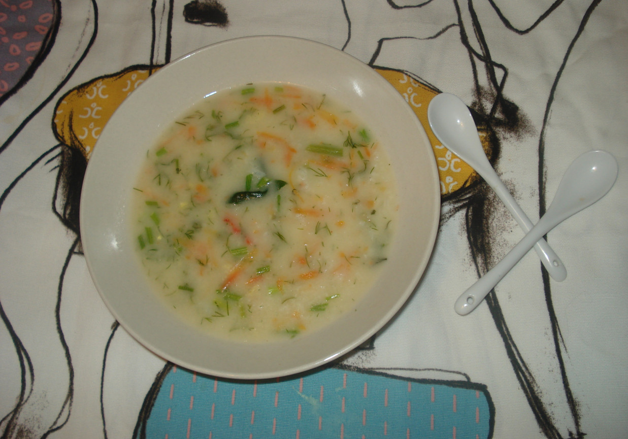 Zupa warzywna ze świeżym szpinakiem i koperkiem  foto