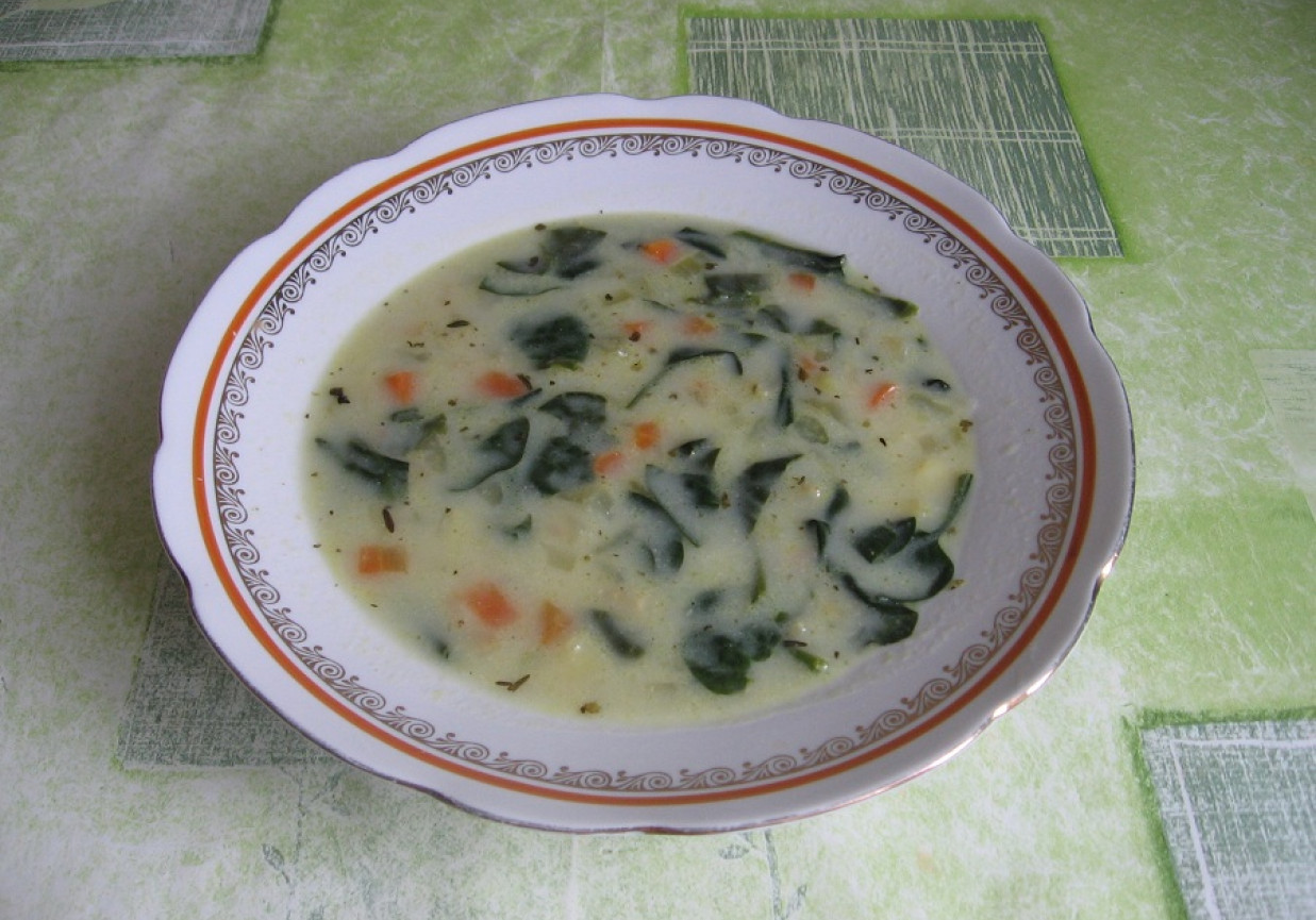 Zupa warzywna ze szpinakiem foto