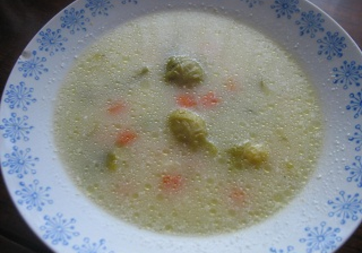 zupa warzywna foto