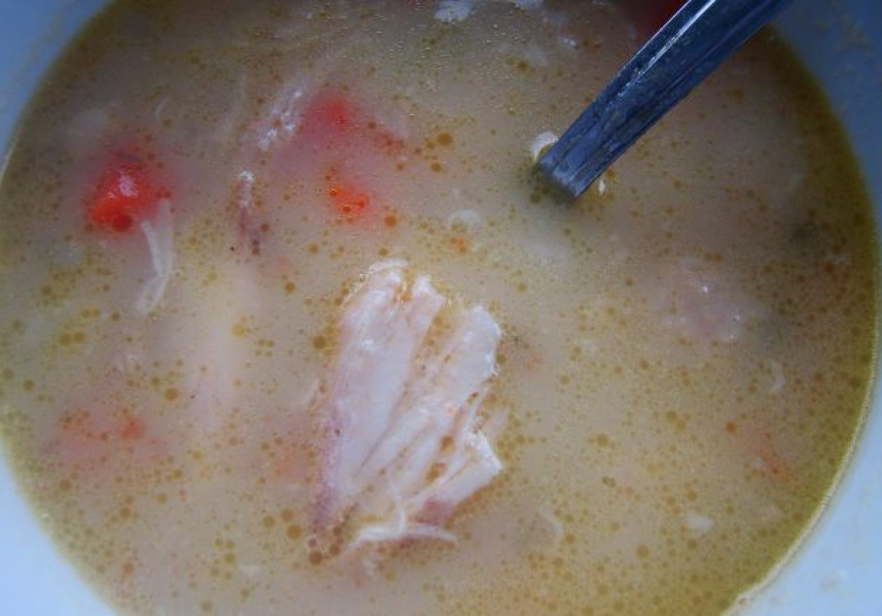 Zupa warzywno -mięsna foto