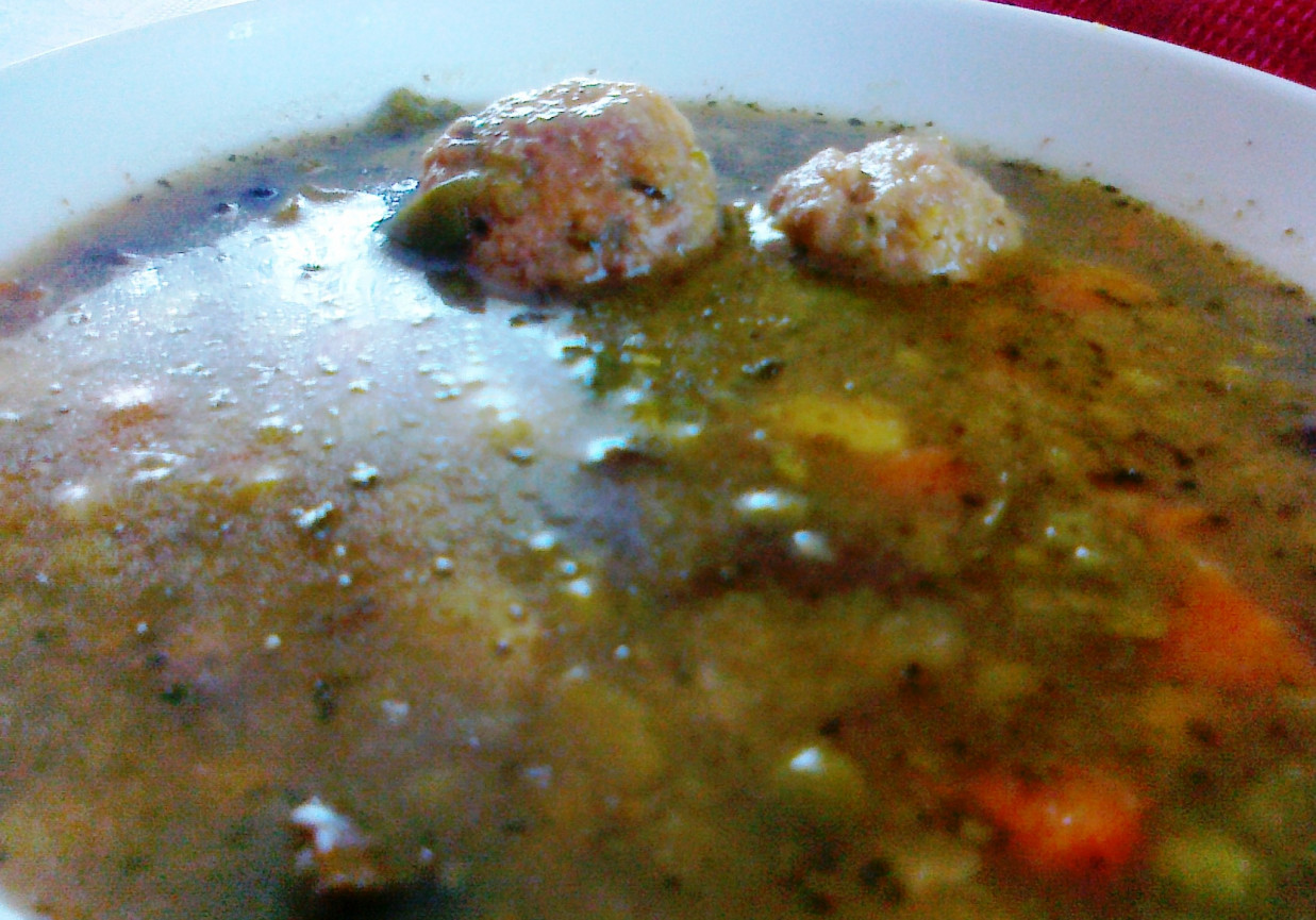 Zupa warzywno-grzybowa z pulpecikami foto