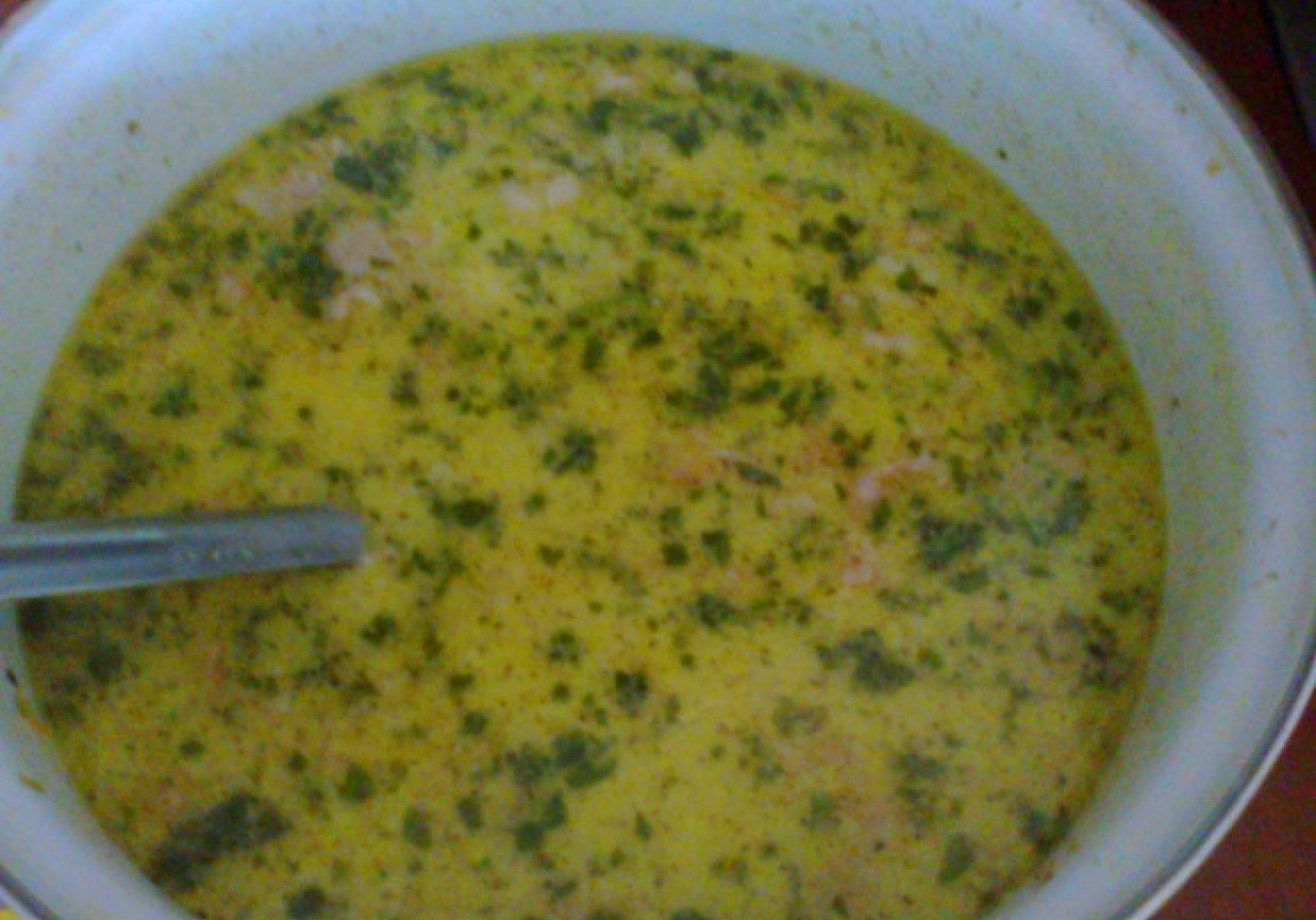 Zupa warzywno-mięsna z ryżem foto