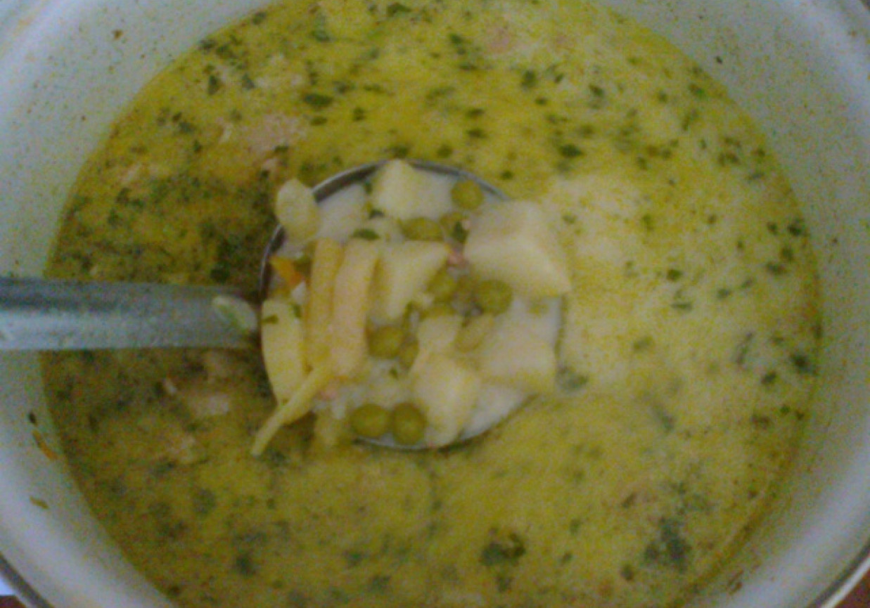 Zupa warzywno-mięsna z ryżem foto