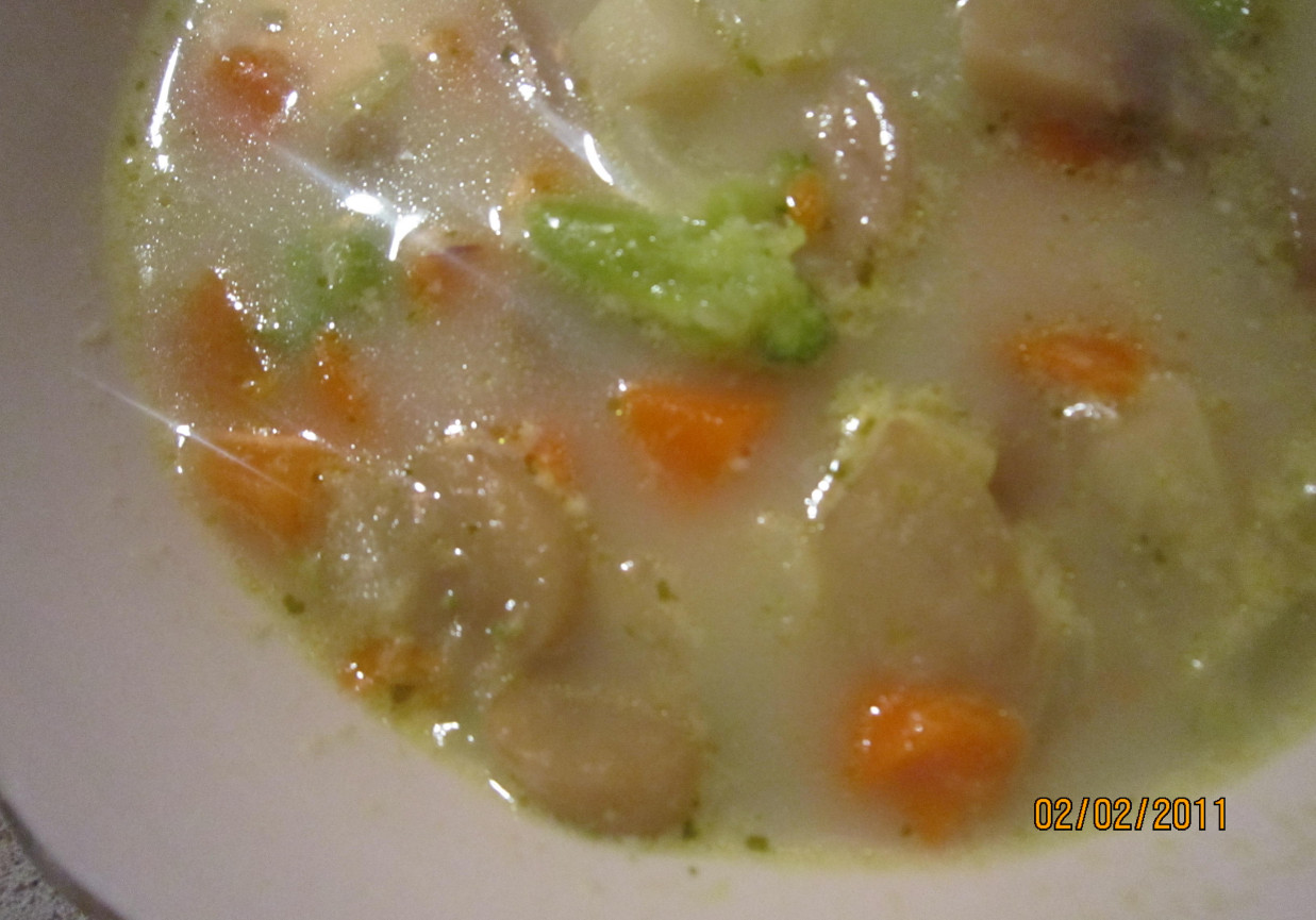 Zupa warzywno-pieczarkowa foto