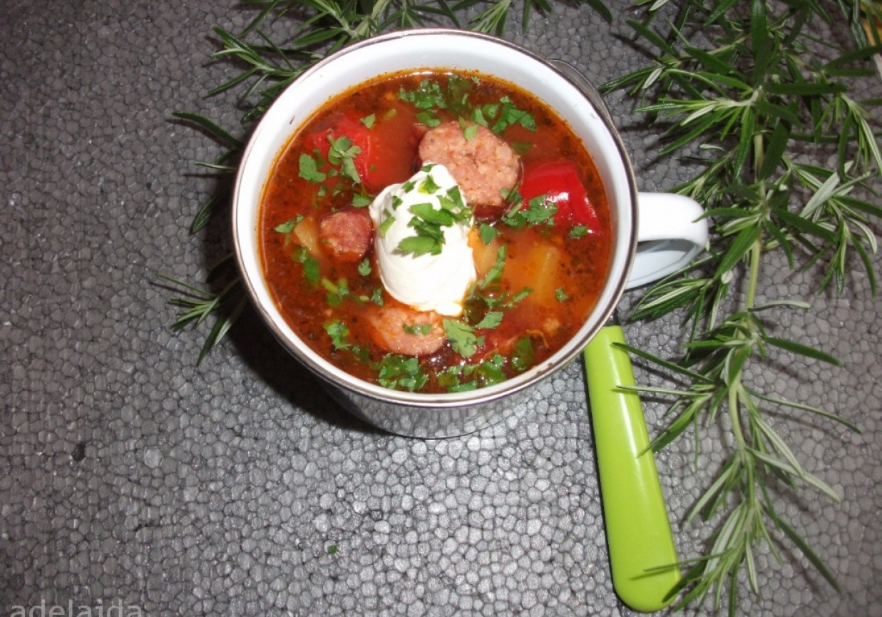 Zupa węgierska  foto