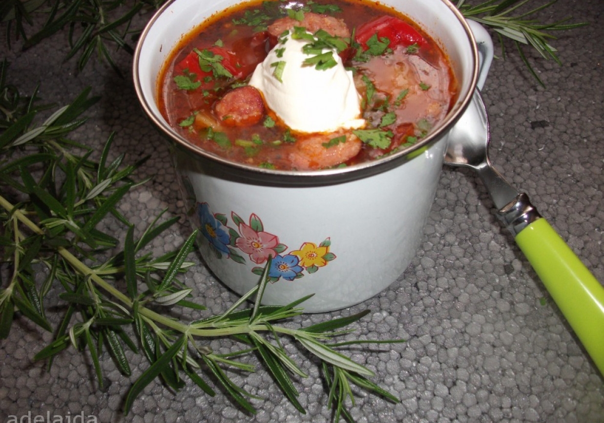 Zupa węgierska  foto