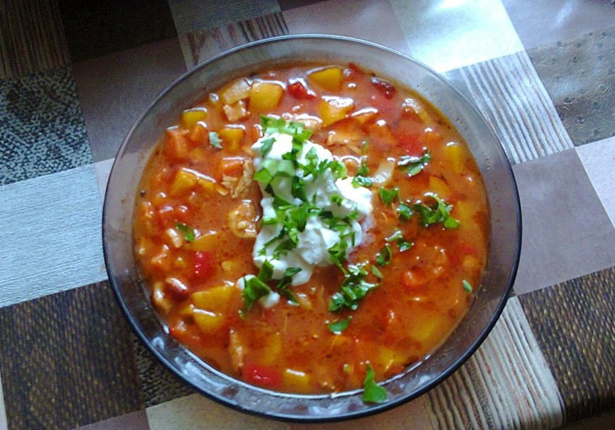 Zupa węgierska pikantna  foto