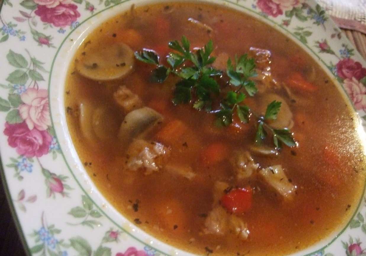 Zupa węgiersko-gulaszowa foto