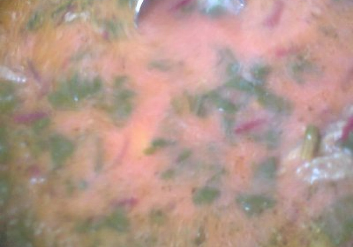 zupa wiosenna- botwinka foto