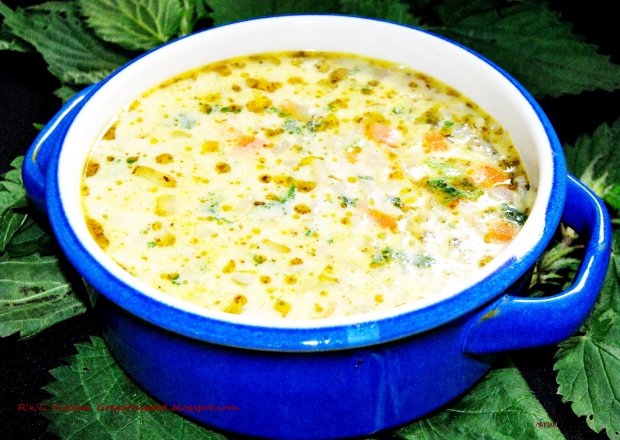 Fotografia przedstawiająca Zupa wiosenna z pokrzywy