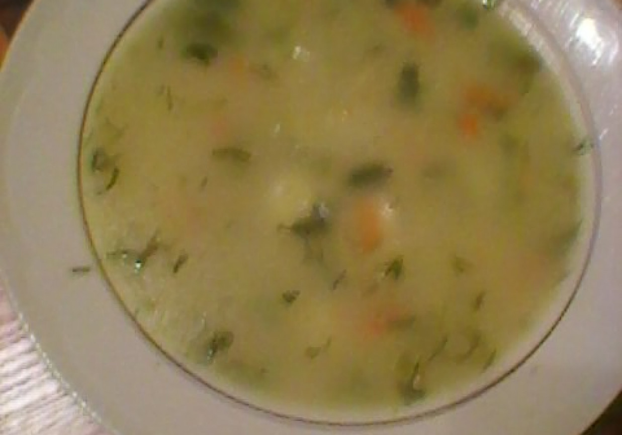 Zupa wiosenna z warzyw foto