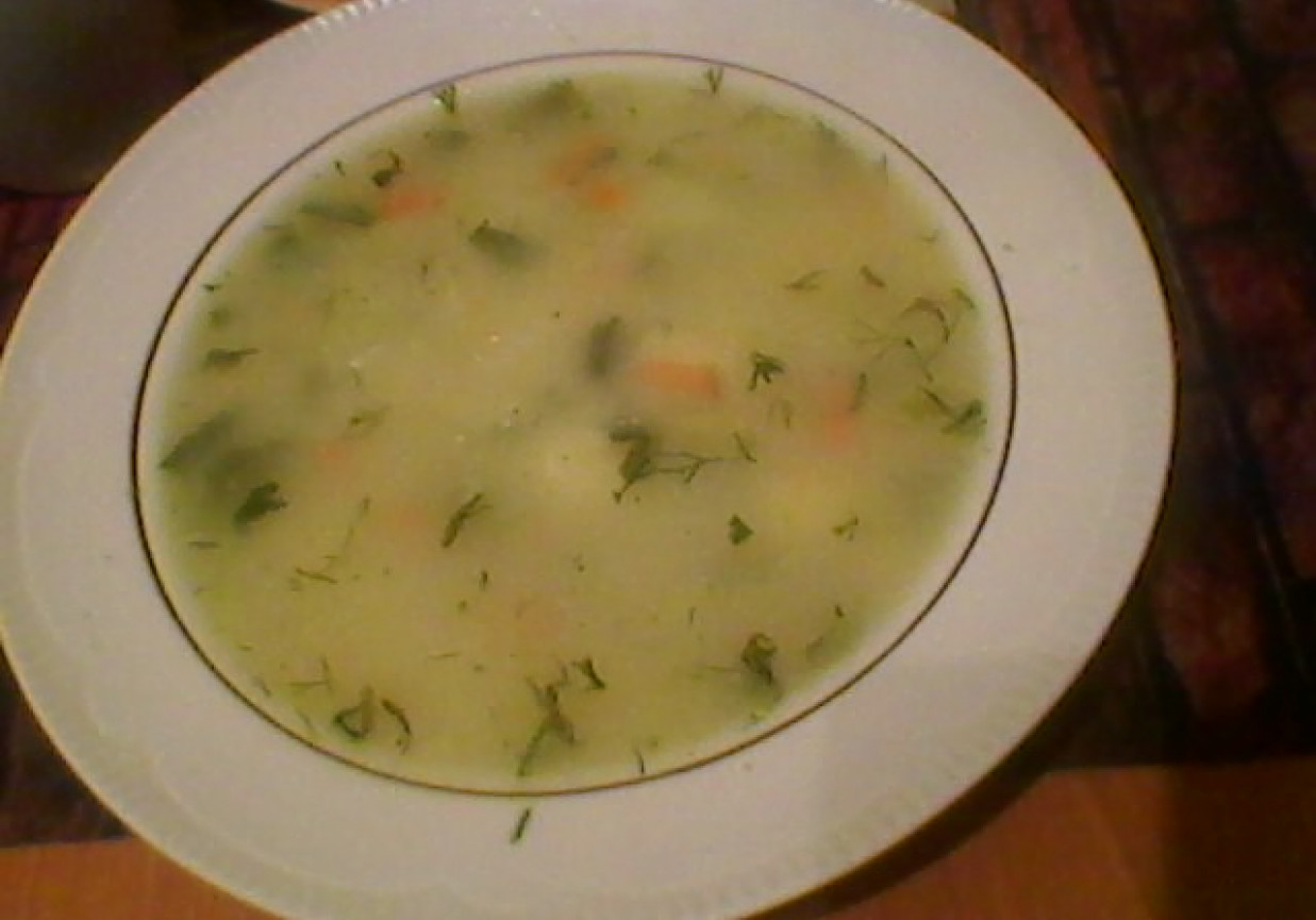 Zupa wiosenna z warzyw foto