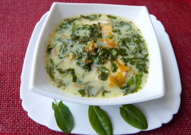 Fotografia przedstawiająca Zupa wiosenna