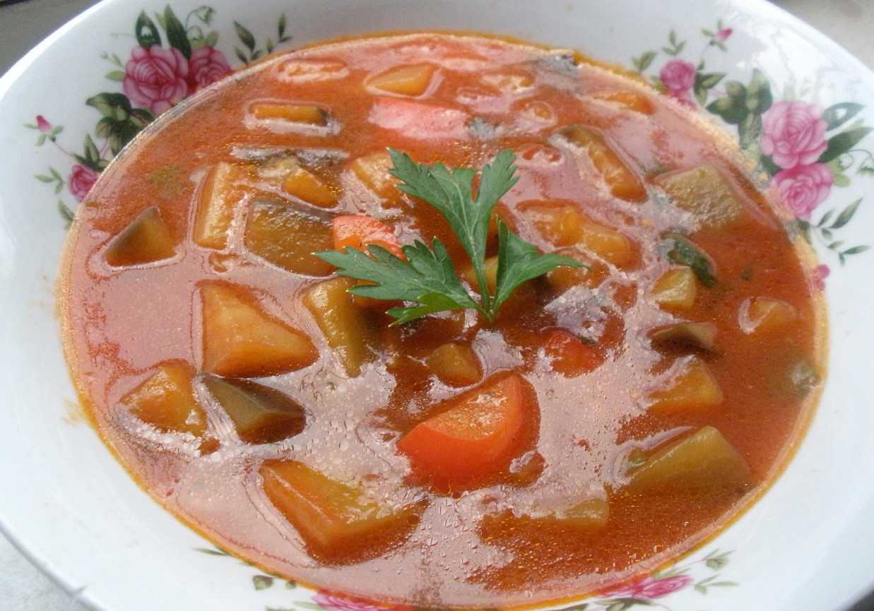 Zupa z bakłażana i papryki foto