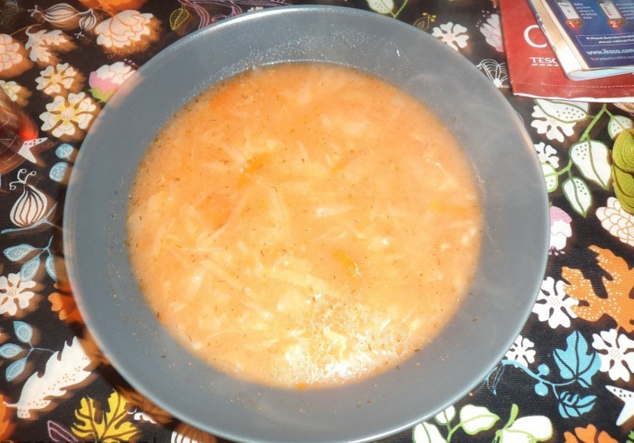 Zupa z białej kapusty i innych warzyw foto