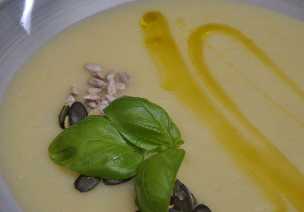 Zupa z białej rzodkwi z olejem z bazylią  foto