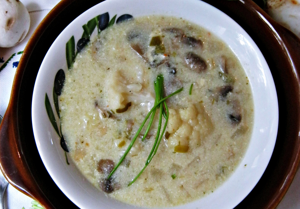 Zupa z białych warzyw foto