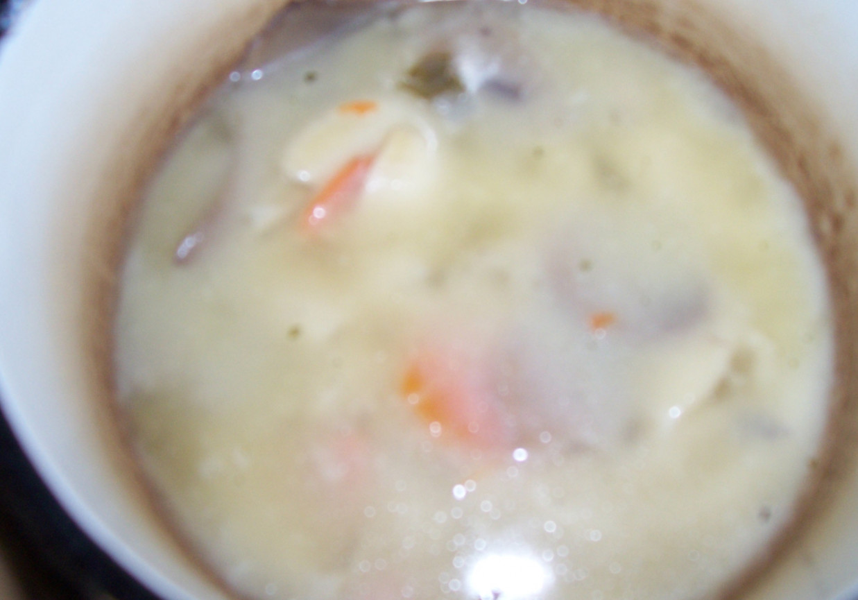 zupa z borowików foto