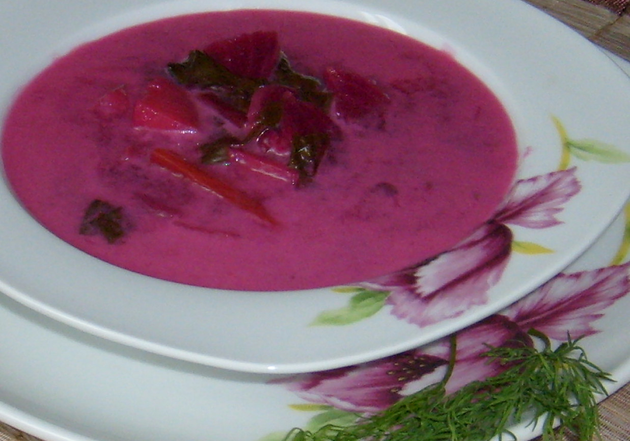 Zupa z botwiny na mięsnym wywarze foto