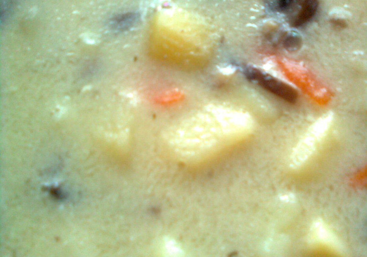 Zupa z brązowych pieczarek foto