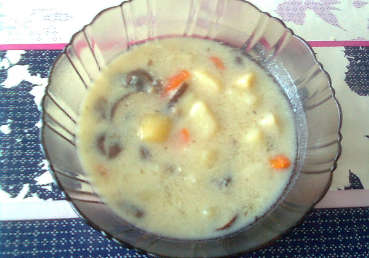 Zupa z brązowych pieczarek foto