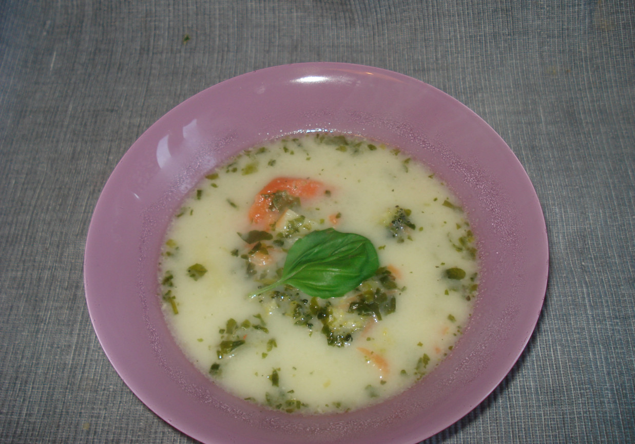 Zupa z brokułem i szpinakiem ( z mrożonych warzyw ) :) foto