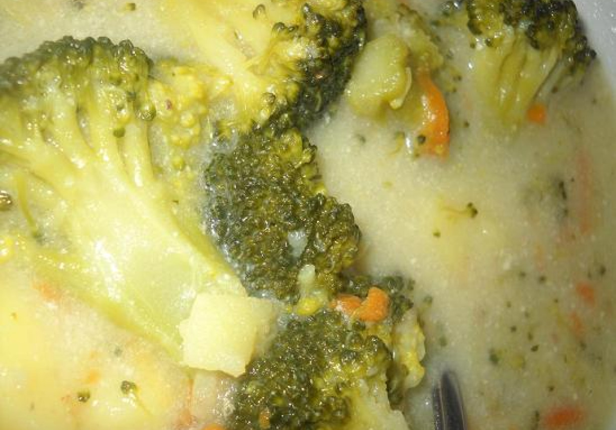 Zupa z brokułów dla dziecka foto